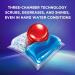 Buy Finish Quantum Hard Water Tablets 82 ct - Unscented | Best International Shipping - Buy Online on GoSupps.com