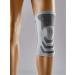 ACE Compression Knee Support - Large/X-Large White/Gray - 1 Pack | Joint Protection for ACL, Support for Weak Sore Muscles | Flexible & Comfortable - Buy Online on GoSupps.com