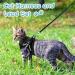 AOKCATS Escape Proof Cat Harness and Leash Set - Reflective Strips, Adjustable Comfort - Small Cat, Kitten - Black, Medium - Buy Online on GoSupps.com