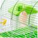 BELLIFFY Pet Saline Fish Ferret Rabbit Salt Supply Rabbit Food Rabbits Mineral Salts Blocks Mineral Saline - Buy Online on GoSupps.com