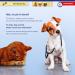 Protectaplast Self-Adhesive Blue Bandage for Pets | Latex-Free & Glue-Free 6cm x 2m | Ideal for Dogs Cats & Horses - Wound & Joint Dressing - Buy Online on GoSupps.com