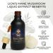 Sporenity Premium Lion s Mane Mushroom Extract Lab Certified Nootropic Tincture for Focus Memory & Brain Health Liquid Supplement Drops Vegan & Non-GMO 2oz (60ml) - Buy Online on GoSupps.com