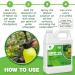 16oz 100% Pure Cold Pressed Neem Oil Spray Concentrate for Plants - Indoor/Outdoor Horticultural Use on Flowers  Vegetables  Fruit Trees - Non-Toxic Formula - Buy Online on GoSupps.com