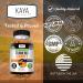 Kaya Naturals Turmeric Supplements Gummies - Pure Nature Turmeric Curcumin -Turmeric Ginger Gummies - 30 Count Gummy - Turmeric with Black Pepper Extract 30 Count (Pack of 1) - Buy Online on GoSupps.com