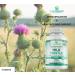 PurePremium Milk Thistle Supplement with Silymarin Extract - Liver Support - Vegan - 120 Tablets - Buy Online on GoSupps.com