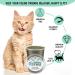 From The Field Catnip Kitty Safe Stalkless Tub 10 oz - Premium Organic Catnip for Endless Fun - Buy Online on GoSupps.com