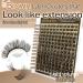 Brown Lash Clusters 10-20mm - Wispy Faux Mink Eyelash Extensions | 154 Pcs Natural Look Brown Lashes for Everyday Wear by FOINEMYED - Buy Online on GoSupps.com
