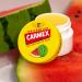 CARMEX Watermelon SPF15 Lip Balm - Soothes & Moisturizes | 7.5g | International Shipping - Buy Online on GoSupps.com