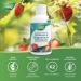 Nature's Way Calcium and Magnesium Citrate 2:1 - Liquid Supplement with Vitamin K2 and Collagen Helps Support the Maintenance of Bones and Teeth Strawberry Flavour 500 mL Packing may vary - Buy Online on GoSupps.com