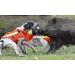CANIHUNT Dog Protection Vest - Dog Armor v2 (65) | Premium Safety Gear for Your Dog - International Shipping Available - Buy Online on GoSupps.com