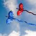 JEKOSEN Fiery Dragon 54 Huge Kite - Easy-to-Fly Single Line String with 160 Tail for Kids and Adults - Perfect for Beach Trips, Parks, and Outdoor Family Games - Buy Online on GoSupps.com