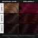 XMONDO Color Berry Hair Healing Semi Permanent Color - Vegan Formula with Hyaluronic Acid - 8 Fl Oz - Buy Online on GoSupps.com