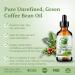 Shop Bella Terra Green Coffee Bean Oil - 1 Gallon for Hair & Skin | Antioxidant-Rich Fast-Absorbing & Non-Greasy - Buy Online on GoSupps.com