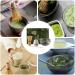 Ensemble de fouet Matcha jeu de th Matcha - Bowl Spoon Whisk Matcha Accessoires | Outils de fabrication de th traditionnels polyvalents exquis kit complet pour les bureaux domicile relaxation - Buy Online on GoSupps.com