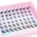 Cat Eye Cluster Lashes Natural Individual Eyelashes 14mm Fox Eye Lash Clusters CC Curl Left Right Wispy Eyelash Clusters Russian False Lashes Individual Cluster by TOOCHUNAG Natural Wispy - Buy Online on GoSupps.com