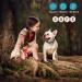 Bark Collar for Small, Medium & Large Dogs | Anti Barking Device with Vibrating Technology - Buy Online on GoSupps.com