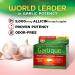 Garlique Healthy Cholesterol Formula with 5000 mcg Allicin - 60 Enteric Coated Caplets (Pack of 6) - Buy Online on GoSupps.com