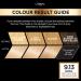 L'Oreal Paris Preference 9.13 Baikal Permanent Hair Dye - Long Lasting Luminous Colour - Buy Online on GoSupps.com