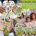 Pipihome Reflexology Socks - Foot Massage & Acupress Tool | International Shipping - Buy Online on GoSupps.com