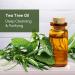 Refreshing Cooling Effect Anti-Acne Mint & Tea Tree Body Wash - 200ml | International Shipping Available - Buy Online on GoSupps.com