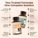 Boswellia Turmeric Curcumin Supplement + Multivitamin for Men Bundle Supports Joint Health & Complete Daily Wellness with Ginger Root Organic Turmeric Powder Methylated Vitamin B12 Zinc & More - Buy Online on GoSupps.com