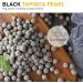 Wu FuYuan Black Tapioca Pearl 1kg - Premium Bubble Tea Ingredients - Buy Online on GoSupps.com