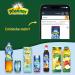 Buy Pfanner The White Lemon Elderflower Iced Tea - 2L Tetra Pak | Directly Brewed Tea with Lemon Juice - International Shipping Available - Buy Online on GoSupps.com