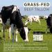 LOPIANY Beef Tallow for Skin Beef Tallow and Honey Balm All-Natural Face Body Moisturizer Nourishes and Hydrates the Skin Grass Fed Whipped Balm Infused with Raw Wild Honey 2oz - Buy Online on GoSupps.com