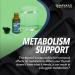 Organic Potassium Iodide Liquid Drops for Thyroid Support - Vegan Iodine Supplement, Metabolism Boost - 1-Year Supply - Buy Online on GoSupps.com