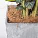 Luoji Bird Nesting Material Natural Coconut Fiber Comfortable Bedding For Small Birds And Animals Great For Nest Building And Hideouts - 100g - Buy Online on GoSupps.com