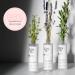 Emulsion Pure for Acne-Prone Skin Yonka 50ml | Purifying Regenerating Day Cream with Anti-Inflammatory Botanical Blend | 98% Natural Origin - Buy Online on GoSupps.com