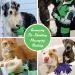 Handson Pet Grooming Gloves - Award-Winning Deshedding Mitts for Cats, Dogs & Horses - #1 Pet Hair Remover (1 Pair) - Buy Online on GoSupps.com