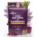 KIKI Green Sea Moss Powder with Elderberry Immune Boost Elderberry Juice - Elderberry Supplements Elderberry Drink Mix Vegan Elderberry Superfood Powder Multivitamin Powder -Immune Support 6 Oz