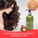 Thann Oriental Essence Shampoo - Extra Nourishing 250ml | Buy Internationally | Best Hair Care - Buy Online on GoSupps.com