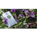 JUST T Dynamic Day Premium Double Chamber Tea Bags (20 pcs) | Organic Green Tea with Acai & Grapefruit | Biodegradable | High-Grown Leaf Tea - Buy Online on GoSupps.com
