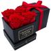 Graceful Fleurs | Real Roses that Lasts for Years | Fresh Flowers for Delivery Prime Birthday | Birthday Gifts for Women Her | Preserved Roses in a Box | Forever Rose Box (Red)