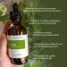 Lime Essential Oil by Velona - 32 Fl Oz | Therapeutic Grade for Aromatherapy & International Shipping - Buy Online on GoSupps.com