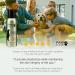 Pawfume Premium Dog Grooming Spray - Long Lasting Show Dog Deodorizer and Cologne - Buy Online on GoSupps.com