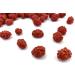 French Burnt Crunchy Coated Peanuts - Old School Candy - 2lb Bag - Buy Online on GoSupps.com