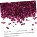 1 Glass Chip Nail Jewels Rhinestones Glass Epoxy Fillers Chips in Bulk Crushed Glass Ornaments Small Nail Art Rhinestones Polymer Clay Mat Nails Gems Bottle Accessories Irregular 0.5X0.3cm Rosy - Buy Online on GoSupps.com