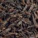 Twinings Keemun Loose Leaf Tea 125g - Buy Online on GoSupps.com