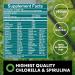 The Chlorella Company Fermented Chlorella & Spirulina Tablets | Broken Cell Wall | 3 Month Supply | Gluten-Free Vegan Non-GMO - Buy Online on GoSupps.com