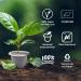San Siro Organic Wild Berry Tea - Eco-Friendly CO2 Neutral 60 Capsules | Sustainable International Shipping - Buy Online on GoSupps.com