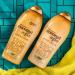 OGX Coconut Coffee Body Scrub & Cream Combo Set 19.5oz - Buy Online on GoSupps.com