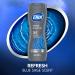 Dial Men 3 in 1 Body Hair and Face Wash Refresh 16 Fl Oz (Pack of 4) Blue Sage Scent Cleanses Deep + Gentle on Skin with Clean Rinse Technology Hydro Fresh - Buy Online on GoSupps.com