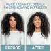 NEUMA Neu Moisture Argan Treatment Oil - Nourishing Hair Care for All Hair Types | International Shipping Available - Buy Online on GoSupps.com
