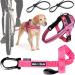 Bike and Dog - dog leash and dogs for the bike dishes with 3 rings 2 of which side including 2 special bicycle bridles.Patented.Dog leash and dog harness l pink