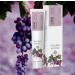 UMIDO 3 Piece Hand Lotion Set 45ml - Grape Seed Oil Coconut & Coriander Shea Butter | Best Hand Care Creams | Moisturizing Hand Cream Set - Buy Online on GoSupps.com