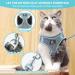 Cat Harness and Lead Set Adjustable Soft Reflective Kitten Harness Escape Proof Cat Kitten Walking Vest with Leash (Grey S) S Grey - Buy Online on GoSupps.com