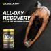 Cellucor BCAA Sport Post-Workout Intra Workout Powder Sports Drink Supplements for Hydration Endurance & Recovery Watermelon 30 Servings Watermelon 30 Servings (Pack of 1) - Buy Online on GoSupps.com